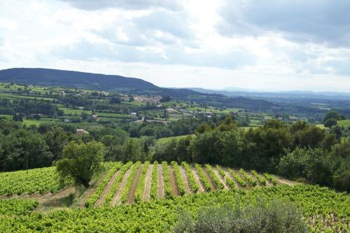 Gîte en provence au coeur des vignes - Location saisonnière - Villedieu