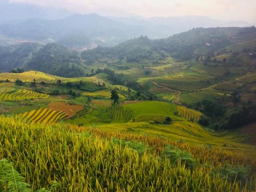 Hello Mu Cang Chai Homestay