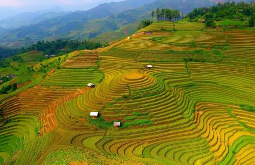 Hello Mu Cang Chai Homestay