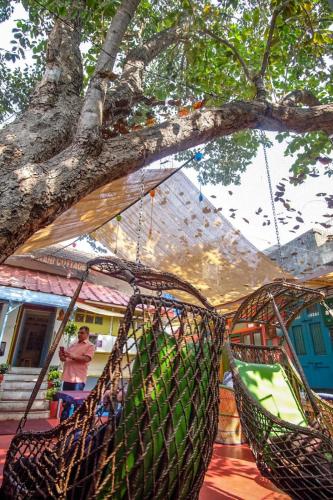 Namastey Mumbai Backpackers in Bandra