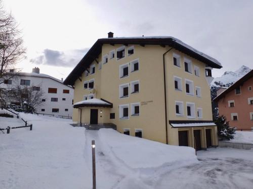 Cembro Grande in Surlej