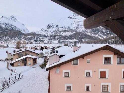 Cembro Grande in Surlej