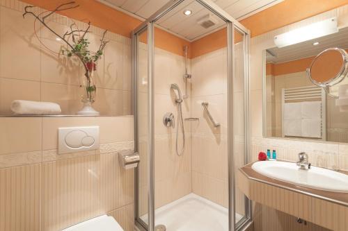 Hotel Willinger Hof - image 6