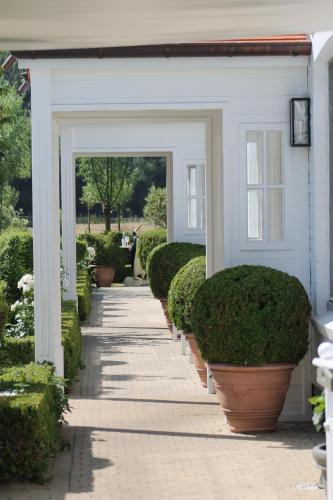 Marie Siska Boutique hotel - image 6