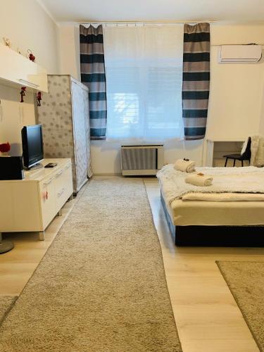  Mate Gold Apartment in Szeged