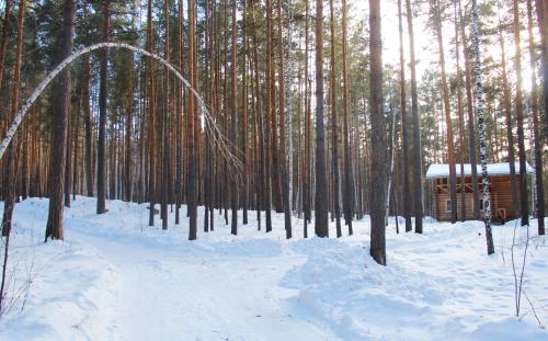 Cottage Kisegach - image 8