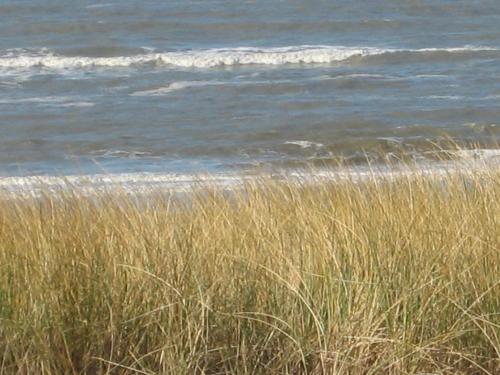 De Oosterberg in Egmond aan Zee