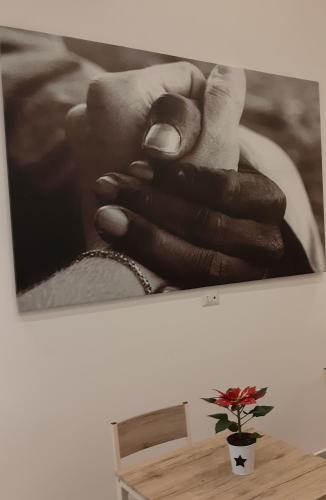 Filì – Naples, CO