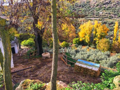 Tuvākā izklaides vieta, Casa Rural Dolores in Cuevas del Becerro