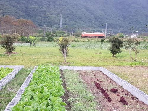 Taroko Formosa Homestay