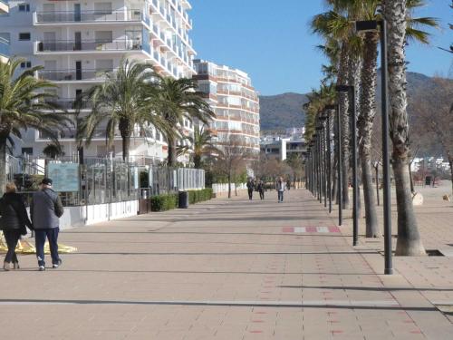  Rosas 4-16 in Roses