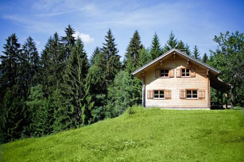 AlpenApart Montafon - Bitschweil Hüsle - image 3