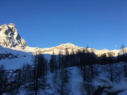 Cervinia On the slopes - I Dadi 603 B Breuil Cervinia