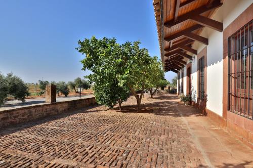  MOLINO DE DON FEDERICO in 14600 Montoro