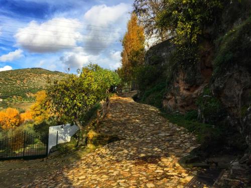 Tuvākā izklaides vieta, Casa Rural El Puente in Cuevas del Becerro