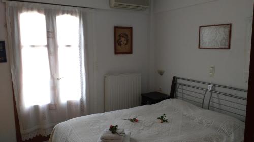  Marou sunny apartment in Naxos Chora