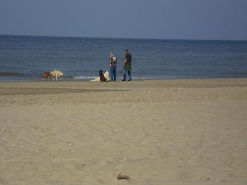 Noordwijk Holiday Rentals - image 6