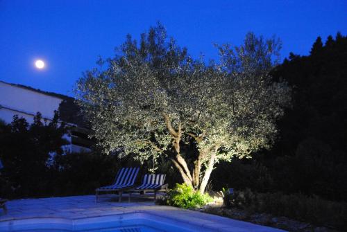 La Serenade chambre d'hôte Bédoin