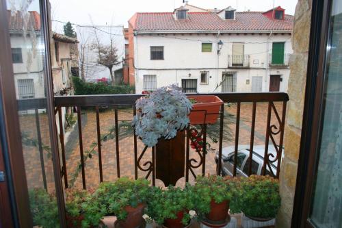 Skats, Apartamentos Rurales Señora Clara (Apartamentos Rurales Senora Clara) in Arbancón
