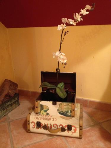 Hosteria San Emeterio - image 13