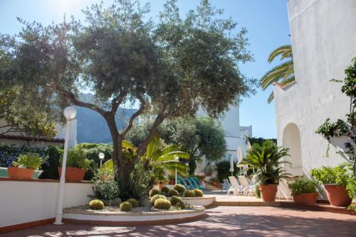 Hotel Terme Royal Palm - image 4