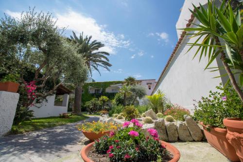 Hotel Terme Royal Palm - image 8