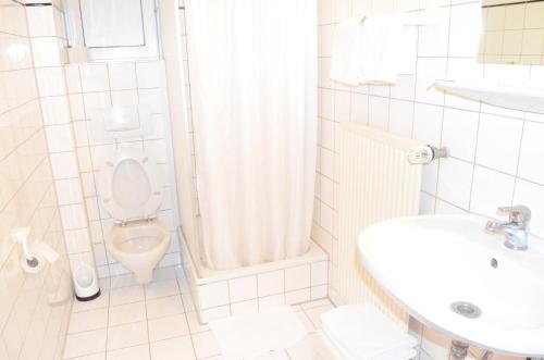 Hotel Stern - image 7