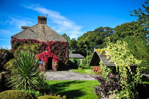 The Wyvill Arms - Accommodation - Leyburn