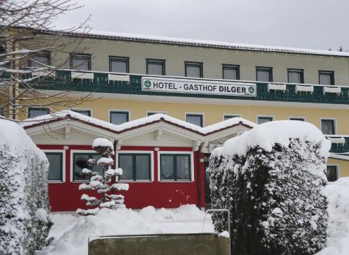 Gasthof-Hotel Dilger - image 3