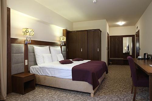 Hotel Mercure Krynica Zdrój Resort&Spa - image 14