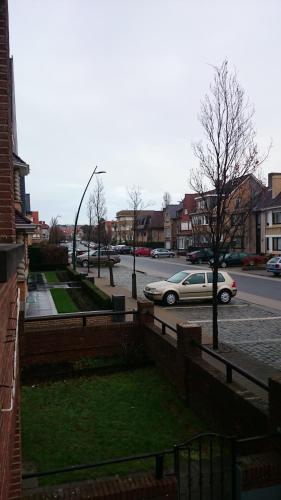  Soucis au vent in De Panne