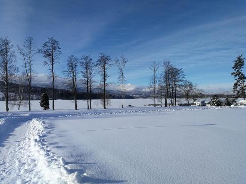 Penzion DaJa - image 8