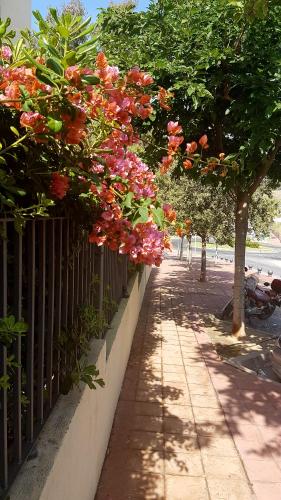 Costa Quebrada Residencial 1 - image 11