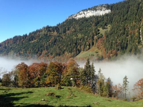 Swiss Seeblick Apartment mit Hotelanbindung - image 7