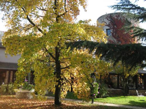 拉雷萊斯德拉圖爾酒店 (Le Relais de la Tour) in 拉紹塞埃聖維克托