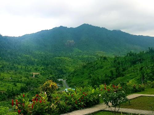 Serenity Lodges Dominica