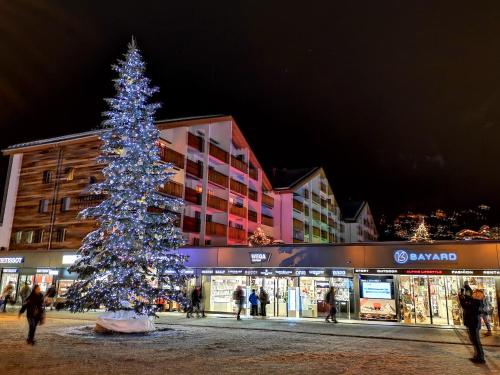 Apartment Viktoria, Zermatt (fotografie 10)