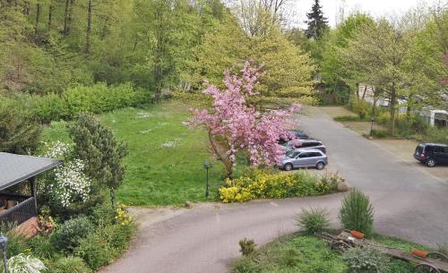 Landhotel Burkartsmühle - main image
