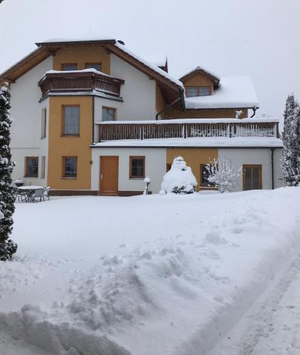 Apartmány Lipno - Frymburk - image 8