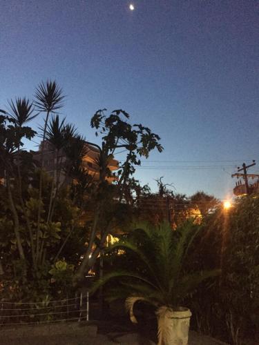 Garden, Casa aconchegante em Vila Valqueire in Madureira