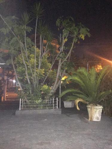 Garden, Casa aconchegante em Vila Valqueire in Madureira