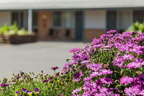 Maffra Motor Inn