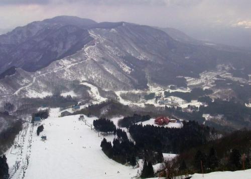 スポーツ/アクティビティ