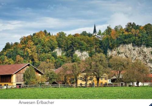 Ferienwohnung Alpenblick - Apartment - Kuchl