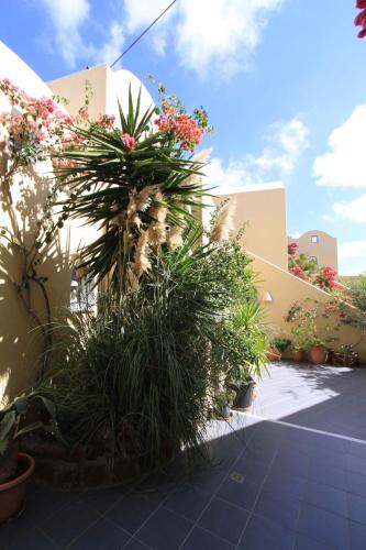 Ersi Villas - image 5