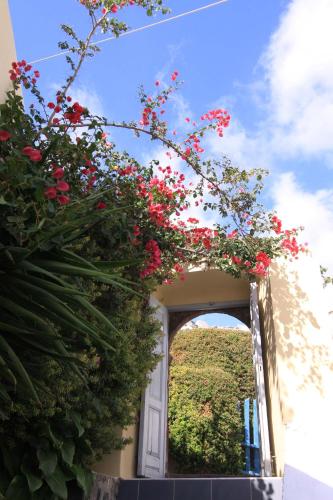 Ersi Villas - image 6