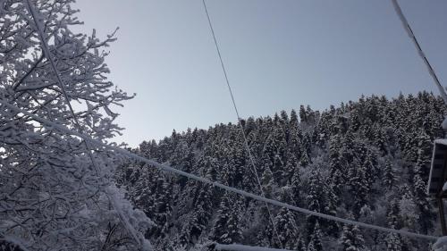 Borjomi Makvala's Guest House