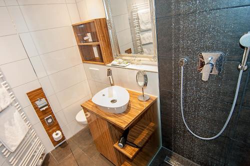 Hotel Allegro, Kolín nad Rýnem (fotografie 9)