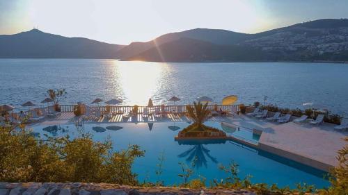  Cactus61 in Kalkan