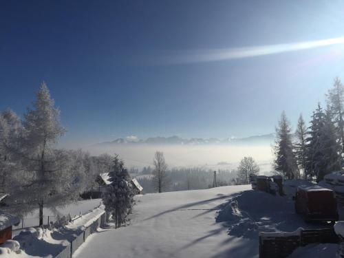 酒店周边, Domek Zyngierka in 班斯卡维兹纳